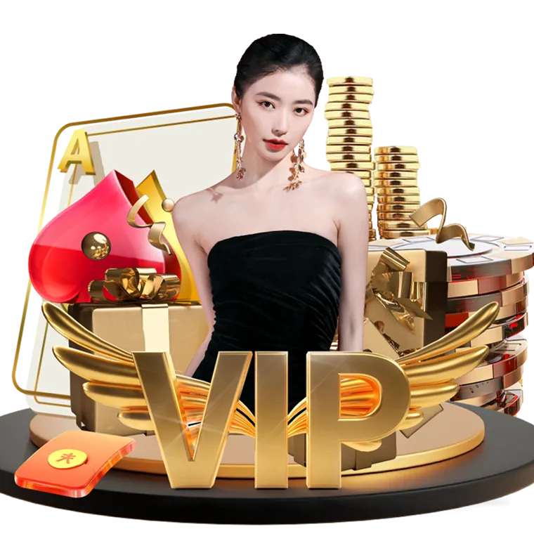 Visa Payment